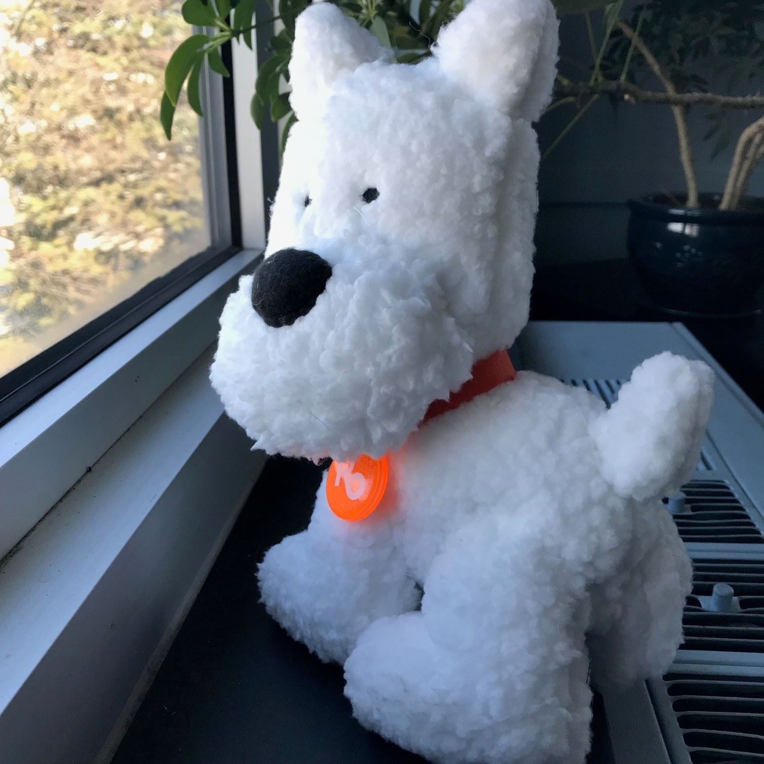 Puppy looks out window