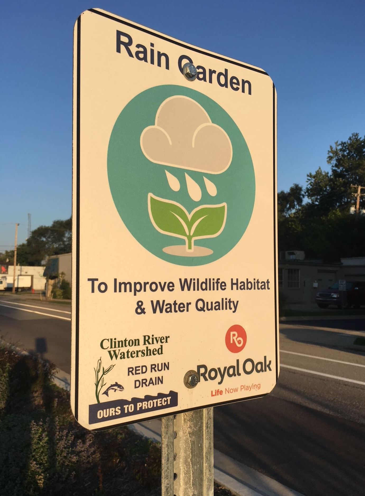 Rain Garden Sign